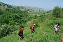 tra le colline in cerca di orchidee